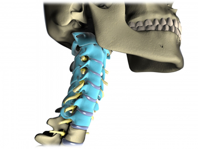 Cervical Spine