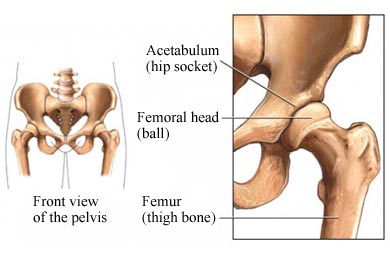 Nucleus factsheet image